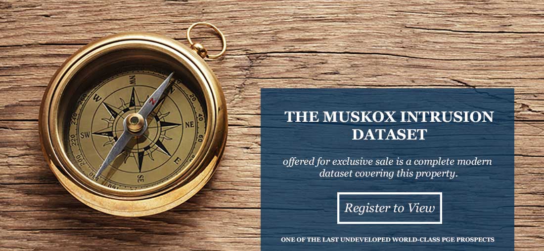 muskox-dataset-banner